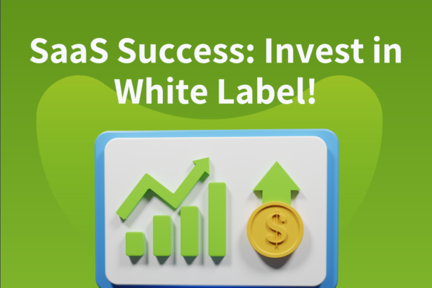 Reasons Why You Should Invest in White Label SaaS Solutions