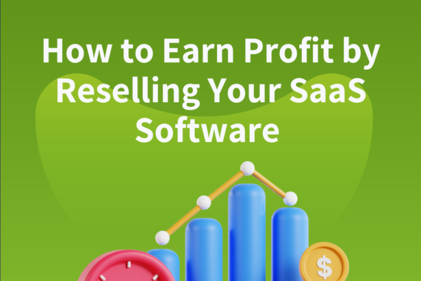 How to Generate Profit by Reselling Your SaaS Software Successfully in 2023