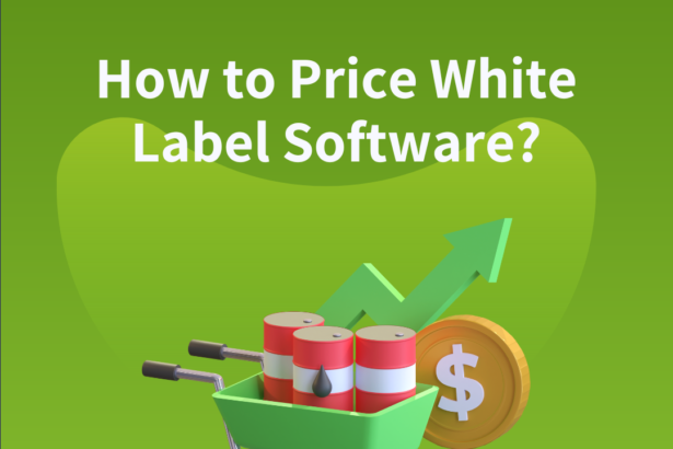 How to Price White Label Software