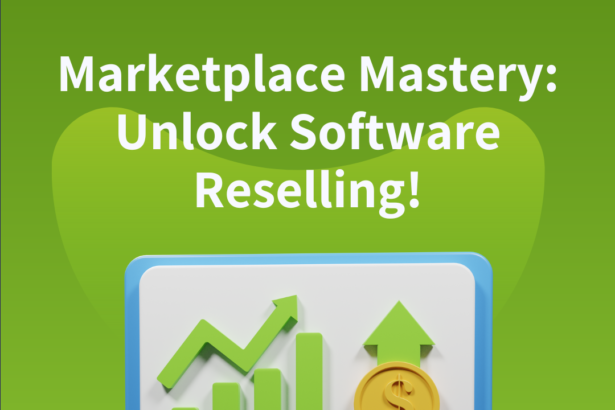 Strategies for Reselling a Software