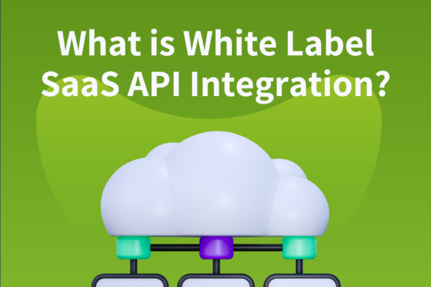 What is White Label SaaS API Integration