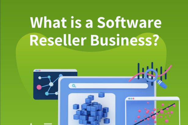 What is a Software Reseller Business