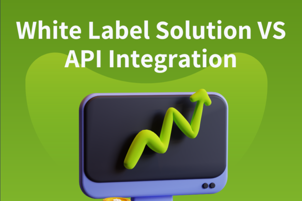 White Label Solution VS API Integration