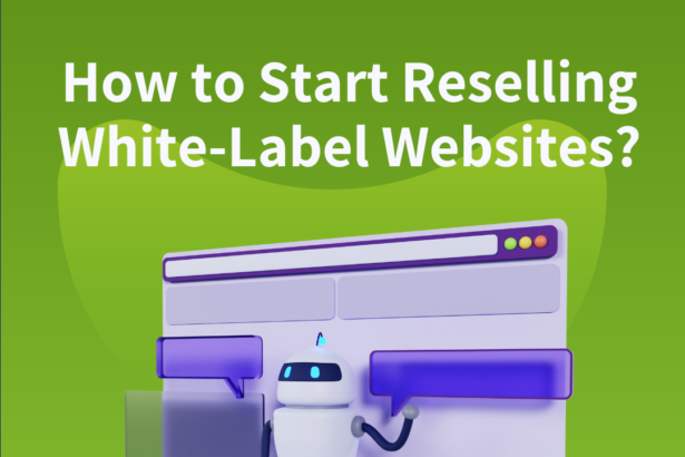 How to Start Reselling White-Label Websites?